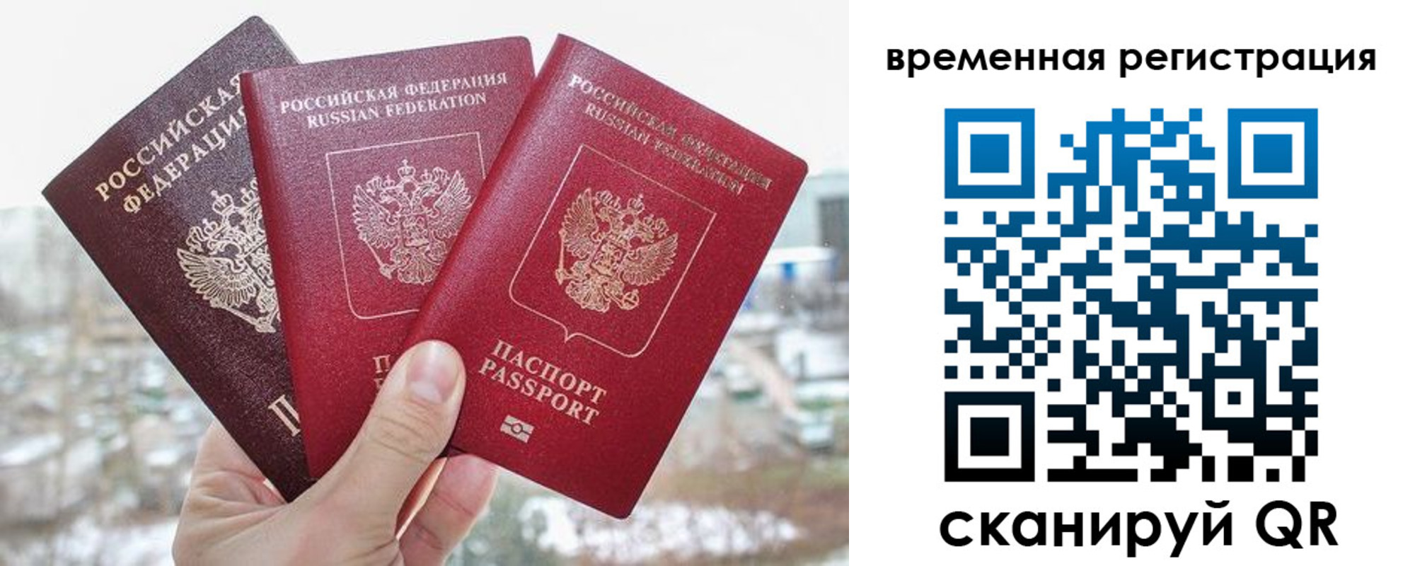 временная регистрация поиск в Павлово